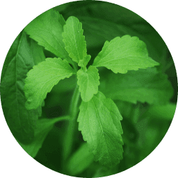 Stevia
